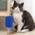 Escova Removedora de Pelos e Massageadora | Gatos na internet