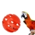 Brinquedo em Madeira Não Tóxico para Papagaio - comprar online