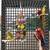 Brinquedo Decorativo Mastigável Pet | Pássaros