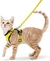 Peitoral Pet com Guia p/ Passeio | Gatos - comprar online