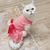 Vestido para Gatos Estampa Listrada - comprar online