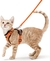 Peitoral Pet com Guia p/ Passeio | Gatos - Pingo Pet Shop - A loja que os pets amam!