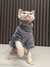 Suéter Pet c/ Gola Confortável | Algodão - comprar online