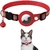 Coleira Pet Suporte para Airtag | Gatos - Pingo Pet Shop - A loja que os pets amam!