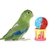 Imagem do Brinquedo em Madeira Não Tóxico para Papagaio