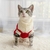 Suéter Pet em Fibra Quente e Confortável | Cães e Gatos