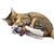 Conjunto de 15 Brinquedos Pet Mordedor | Gatos