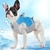 Colete Pet Resfriador em Poliéster | Cães - Pingo Pet Shop - A loja que os pets amam!