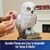 Lechuza Hedwig Para Armar Harry Potter 4D Build - comprar online