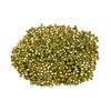 Strass em grosa SS28 olivine Luminix Brilhance