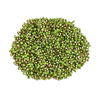 Strass em grosa PP18/SS8,5 peridot Luminix Brilhance