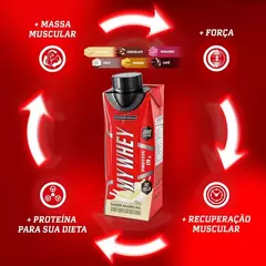 Bebida Proteica Integralmedica My Whey RTD Chocolate 250ml 6 unidades