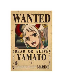 carteles de Anime de One Piece - Camposhop