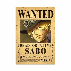 carteles de Anime de One Piece