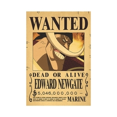 carteles de Anime de One Piece - Camposhop