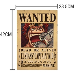 carteles de Anime de One Piece - Camposhop