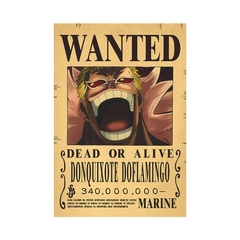 carteles de Anime de One Piece en internet