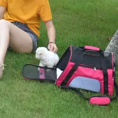 Bolsa de transporte transpirable para mascotas, mochila plegable para perros en internet