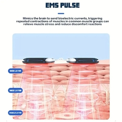 EMS-máquina eléctrica para estimulación muscular profesional - tienda en línea