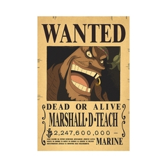 carteles de Anime de One Piece en internet