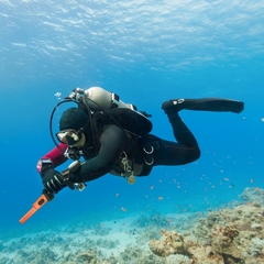 Detector de metales resistente al agua - comprar en línea