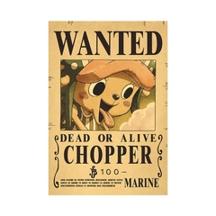 carteles de Anime de One Piece - Camposhop