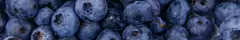 Banner da categoria Blueberry Dyed 