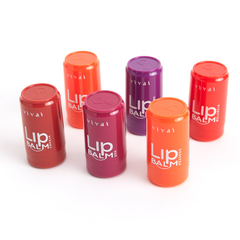 LIP BALM 01 AO 06 C/36 - VIVAI (3135.1.1) na internet