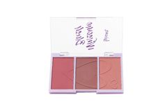 BLUSH WINSOME - loja online