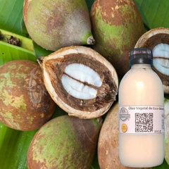 Óleo Vegetal de Coco de Babaçu 100% Puro - Hidratação e Nutrição Intensa 200 Gr - comprar online