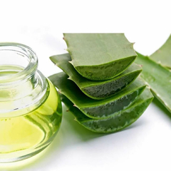 Óleo Vegetal de Babosa (Aloe Vera) 100% Puro - Hidratação e Cuidado Natural - comprar online