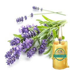 Essência para Vela Artesanal Aroma Lavanda - 50ml