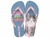 CHINELO IPANEMA LOVE PETS 27005 - PURA MODA