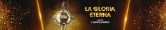 Banner da categoria Libertadores