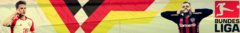 Banner da categoria Bundesliga