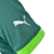 Camisa Palmeiras I 23/24 Jogador Puma Masculina - Verde - Camisas de Futebol | Cassild's Sports