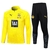 Conjunto Borussia Dortmund Treino 23/24 - Masculino Puma - Amarelo