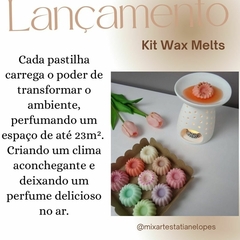 Kit Wax Melts - comprar online