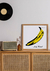 Quadro Decorativo Capa de Disco Velvet Underground na internet