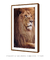 Quadro Decorativo Leão Étnico Safari Fotografia na internet