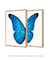 Quadros Decorativos Asas de Borboleta Azul - Composição com 2 Quadros - comprar online