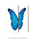 Quadros Decorativos Asas de Borboleta Azul - Composição com 2 Quadros - comprar online