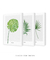 Imagem do Quadros Decorativos Folhas - Composição com 3 Quadros