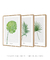 Quadros Decorativos Folhas - Composição com 3 Quadros - comprar online