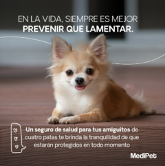 Seguro para Mascotas Medipet by GMX Seguros