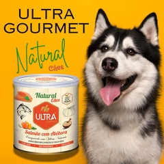 Ultra Premium Gourmet Cao Salmao com Abobora 300gr Natural Caes - Caramello Pet