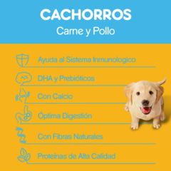 Pedigree Cachorros en internet