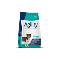 Agility Cachorro