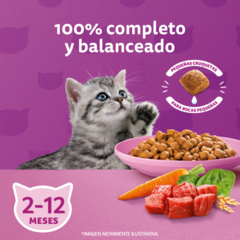 Whiskas Gatitos Carne & Leche en internet