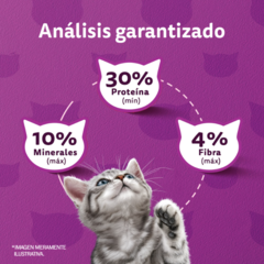 Whiskas Gatitos Carne & Leche - tienda online